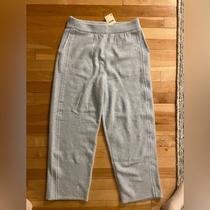 NWT Free People Livin’ in this Pant in color cloud cruise blue.